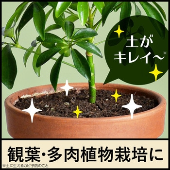 BotaNice 土のカビ予防スプレー アース製薬