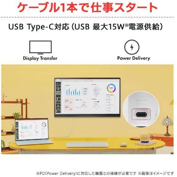 31.5インチ 液晶ディスプレイ(2560x1440/IPS/アンチグレア/HDMI/TypeC(PD15W)/3年保証) LG