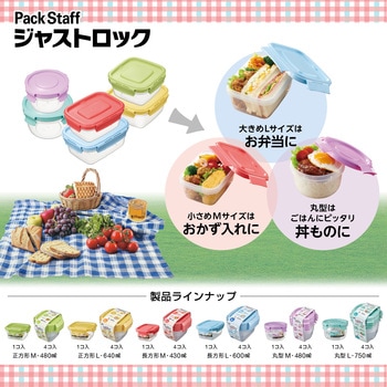 パックスタッフジャストロック長方形 エビス