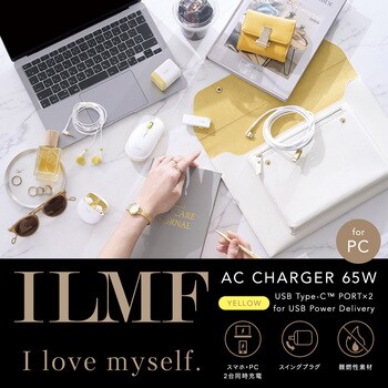 USB Type-C 充電器 コンセント PD 65W PPS 高速充電 TypeC×2 折りたたみプラグ 小型 軽量 GaN採用 ILMF エレコム