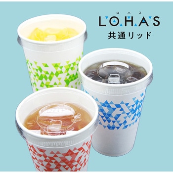 89Φステイオンタブリッドコールド 日本デキシー