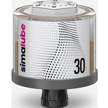 SL01-30 O[XEIC@V}[x ėpOX U[ 14194550