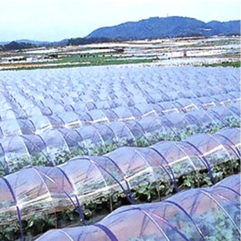 透明マルチ 住化積水フィルム