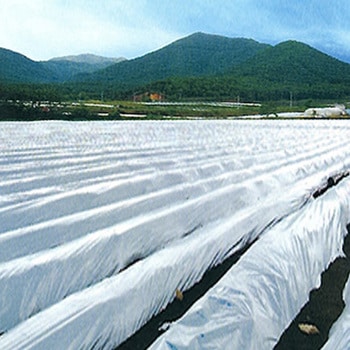 ツインホワイト白黒 住化積水フィルム