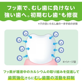 虫よけバリアクルマ用 フマキラー