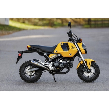 スリップオン GRAND NATIONAL 550-1072 エスアンドエスサイクル