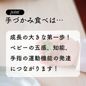 アンパンマン はじめてプレート LEC(レック)
