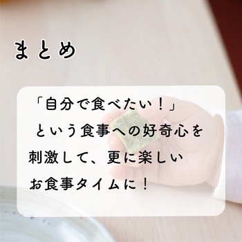 アンパンマン はじめてプレート LEC(レック)