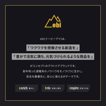 【ebi】折りたたみコンパクトチェア  グレー OWLTECH(オウルテック)