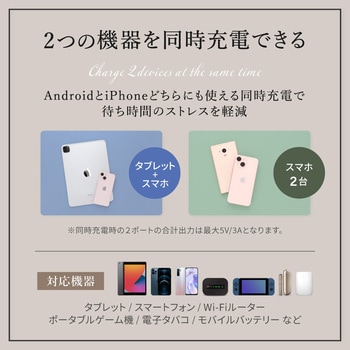 AC充電器 PD20w A×1 C×1 アッシュブルー OWLTECH(オウルテック)