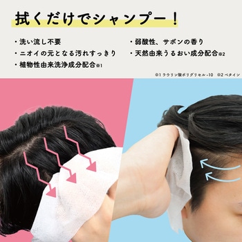 ポケットエチケット シャンプーシート LEC(レック)