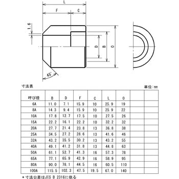 鍛鋼製差し込み溶接式管継手 白 ボス 藤井高圧