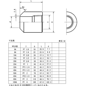 鍛鋼製ねじ込み式管継手 白 ボス 藤井高圧