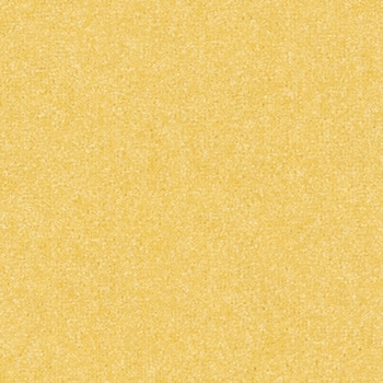 アタック270 キャンバスファイン - 東リ