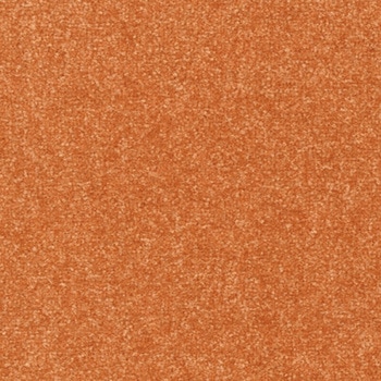 アタック270 キャンバスファイン - 東リ