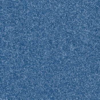 アタック270 キャンバスファイン - 東リ