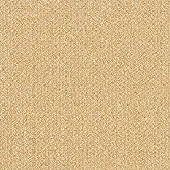 アタック350NE リップルパレットネオ 東リ