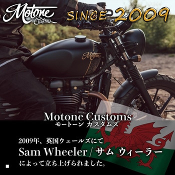 ウインカーハーネス 車体側 DDM011 モートーン