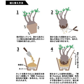 プレミアム室内向け観葉・多肉の土 プロトリーフ