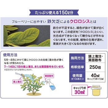 鉄欠解決 FT-Ⅱ 花ごころ