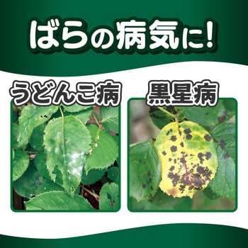 マイローズBT殺菌粒剤 住友化学園芸