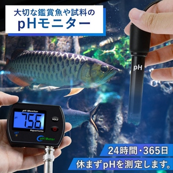 オンラインpHモニター USB/電池給電 バックライト 1点手動校正 pH-990 MMK SCIENTIFIC