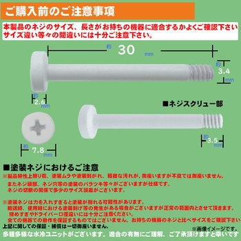 カラーインチネジ エスエスエーサービス