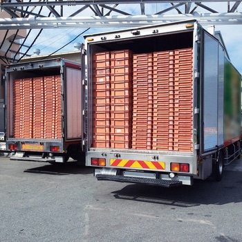 ばんじゅう サンコー(三甲)