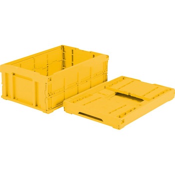 55015000YE305 �I���R�� �T���R�[(�O�b) 14746096