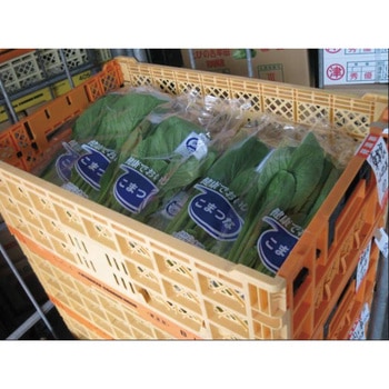オリコン 三甲(サンコー)