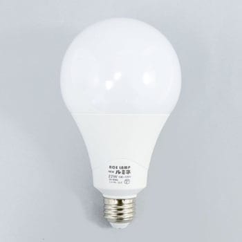 ace fluorescent light bulbs