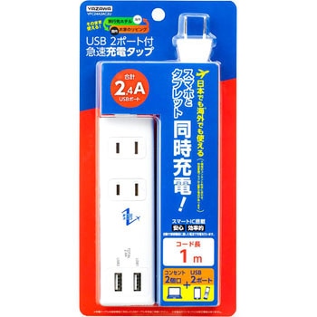 国内海外兼用2ACUSB 1m YAZAWA(ヤザワコーポレーション)