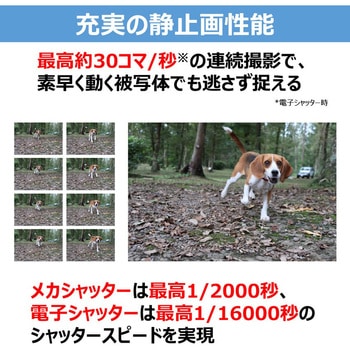 コンパクトカメラ PowerShot V1 Canon