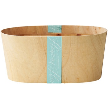 カラーリボンバスケット グリーンハウス