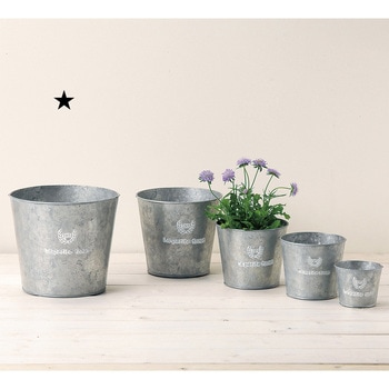 フレンチシルバーブリキ LL グリーンハウス