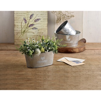 フレンチシルバーブリキ LL グリーンハウス