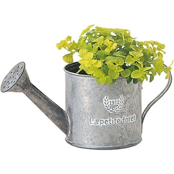 フレンチシルバーブリキ M グリーンハウス