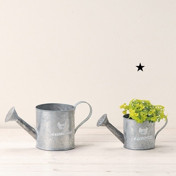 フレンチシルバーブリキ M グリーンハウス