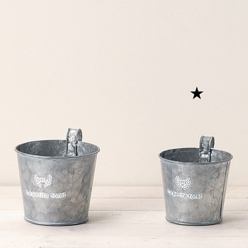 フレンチシルバーブリキ S グリーンハウス