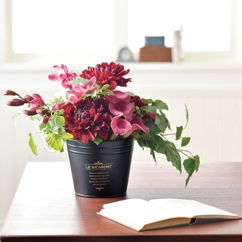 スタイリシュブリキポットLL - グリーンハウス