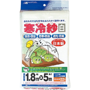 寒冷紗 日本マタイ