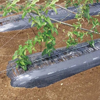 メデルシート(M)黒 みかど加工