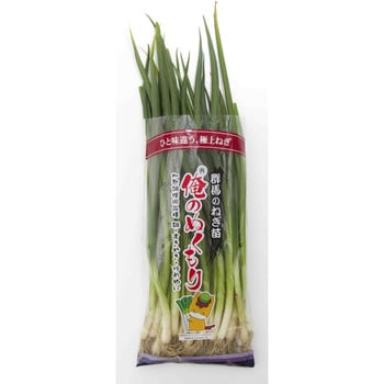 【苗】ねぎ 抜き苗 俺のぬくもり J.garden
