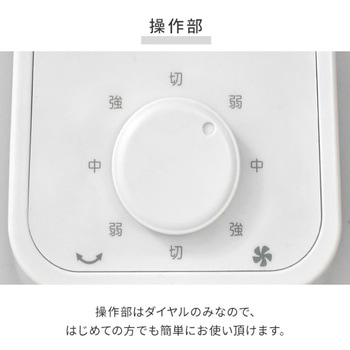 扇風機 壁掛け 左右首振り 引きひもスイッチ 風量3段階 静音 YAMAZEN(山善)