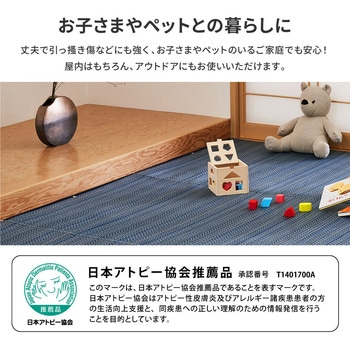 洗えるい草風カーペット ライアン 萩原