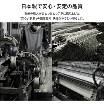 洗えるい草風カーペット ライアン 萩原