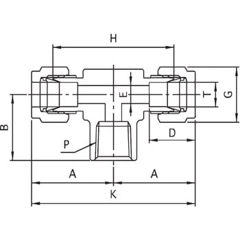 T型メスユニオン アオイ