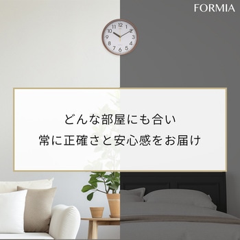 プラ風防電波掛時計 保土ヶ谷電子販売