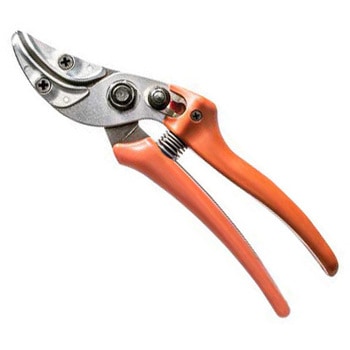 鋏 フラワーホールド付 LOWE