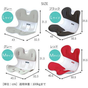 骨盤サポートチェア ドリームウェア
